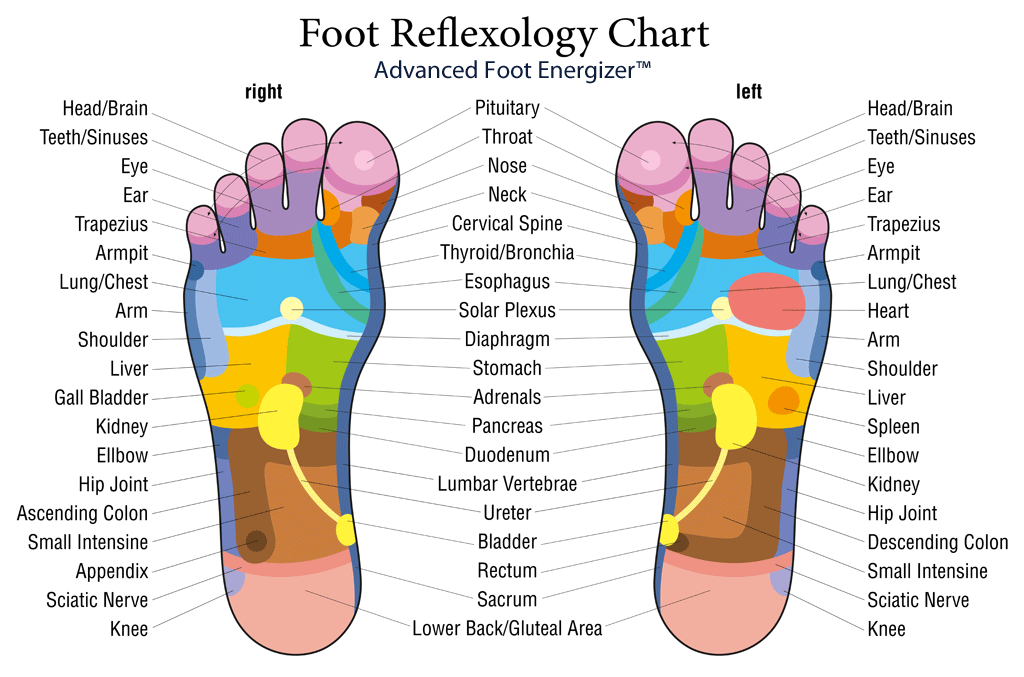 tens unit placement for foot pain - Google Search  Reflexology,  Reflexology foot chart, Tens unit placement