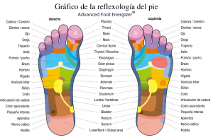 Gráfico de la reflexología del pie